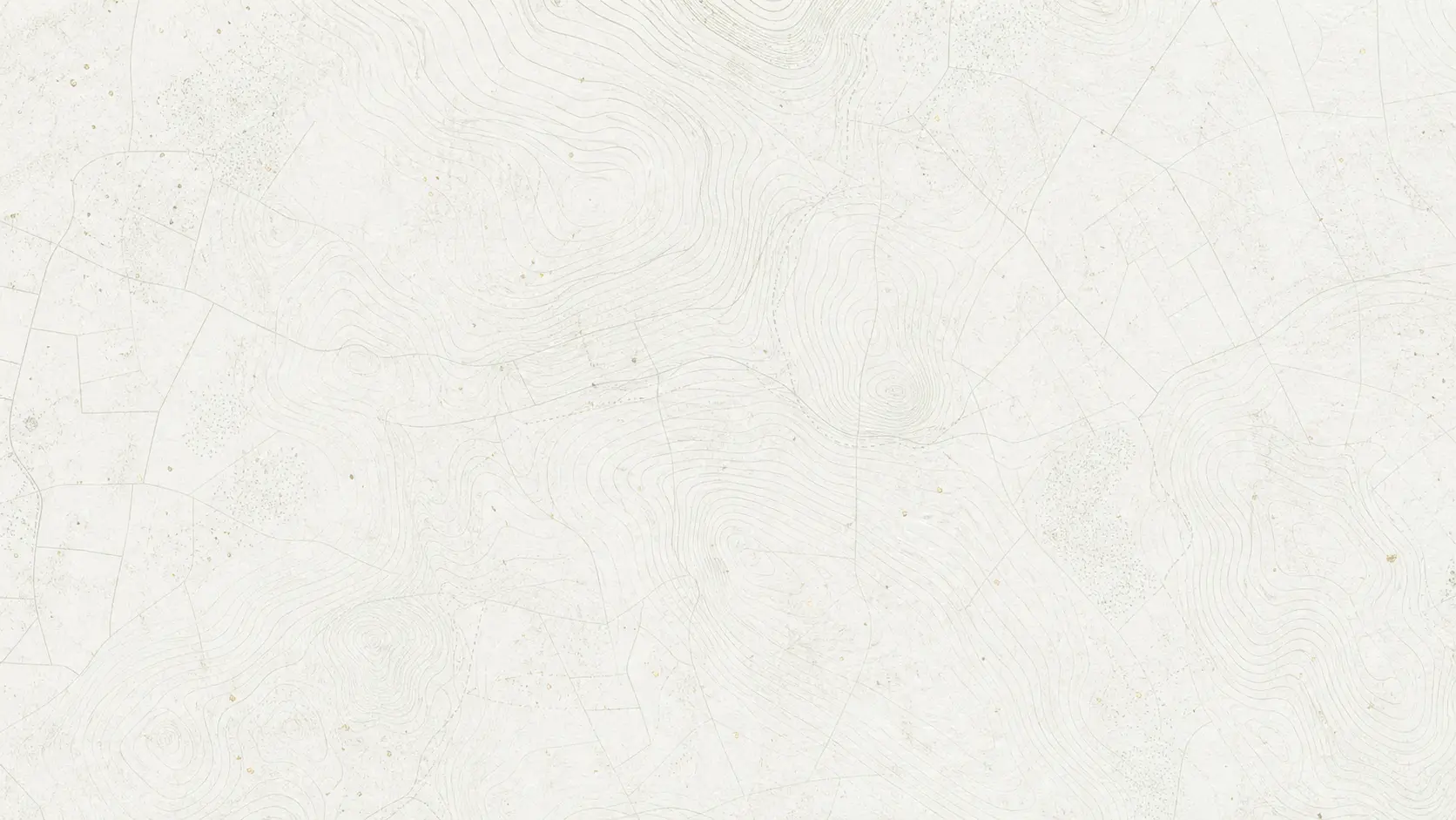 Abstract archival contours for the fictional Hartwell–Mercer identity mystery
